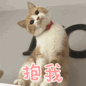 猫爪热