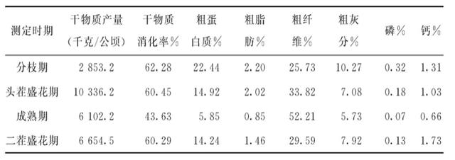 最有可能代替苜蓿的一种牧草！极易养活，长的美，牲畜也爱吃6