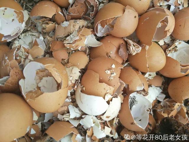 能磨芝麻核桃破碎机