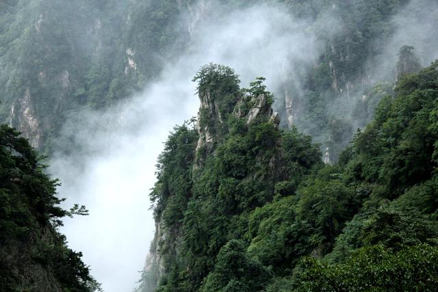 老君山风景区在哪里