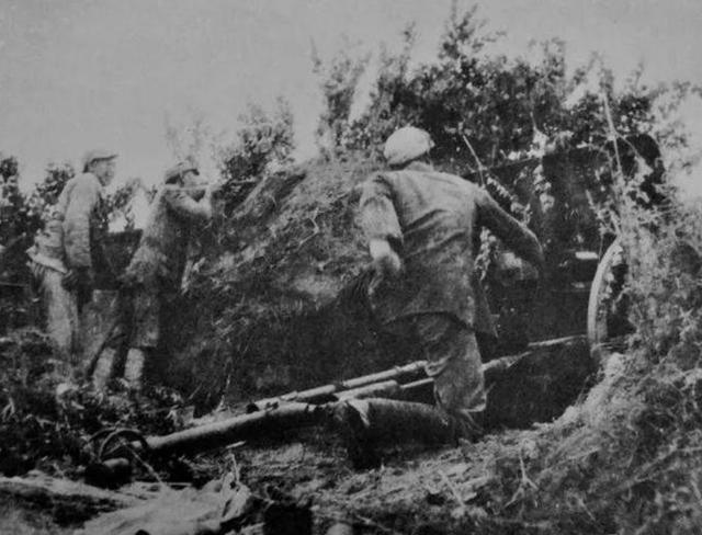 尤溪印刷包装机械展哪家好