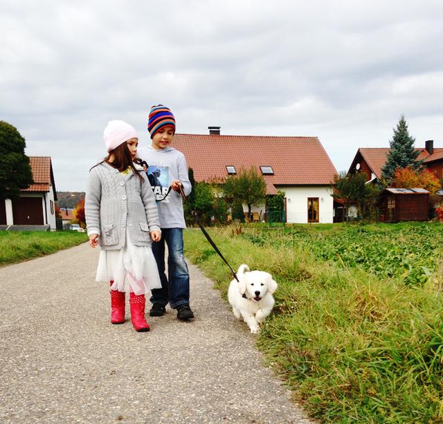 德国养娃实战：怎样培养领导力，帮孩子成为领袖型人才？