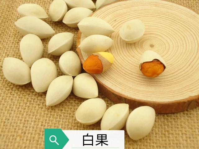 中药古今研究：白果（银杏）