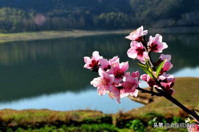 今天才知道，“一寸光阴一寸金”是一句唐诗，后面一句更值得铭记