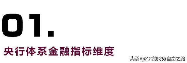 中国金融体系指标大全「金融统计指标释义」