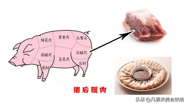 怎么分辨母猪肉图片