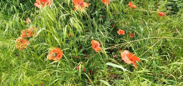 马云最牛的一句话_马云最牛的一句话视频