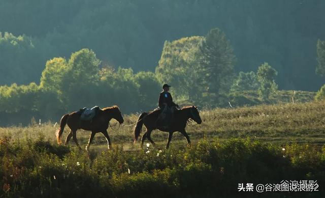 油擦 油擦（颈椎病用精油擦） 生活