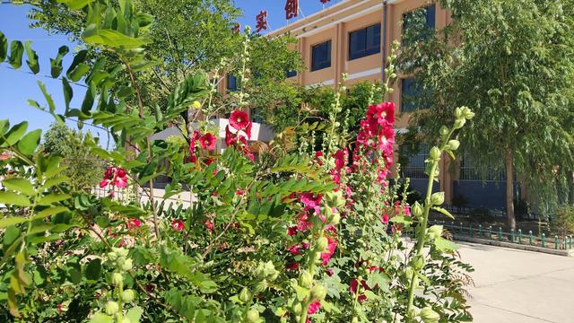 我的教育小故事（做一名有温度的教师）