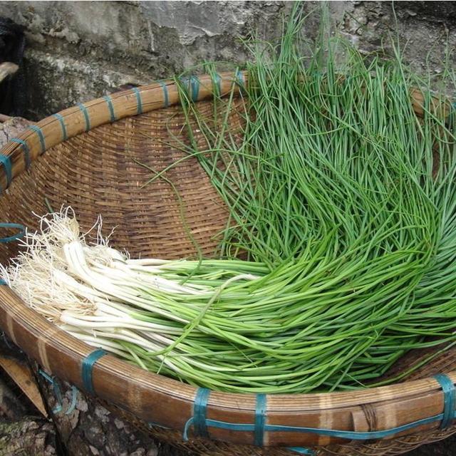 荞头