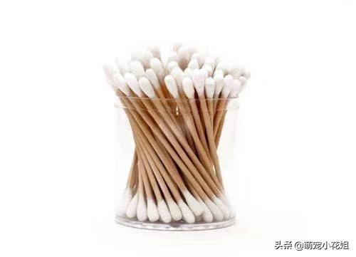 虐待母猫事件的真相（辟谣用棉签捅）(5)