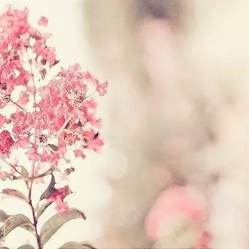 晚安好句181114：愿你一生欢喜，不为世俗所及