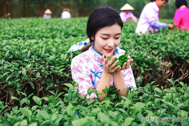 普洱旅游