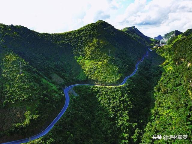 江碧鸟逾白山青花欲燃