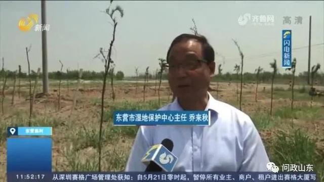 东营南展工程祥情