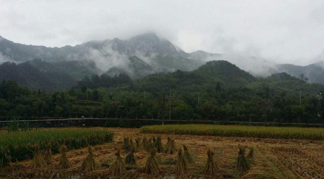 1981年，他躲入深山“登基”，发展了55名佳丽，其中还有村镇干部