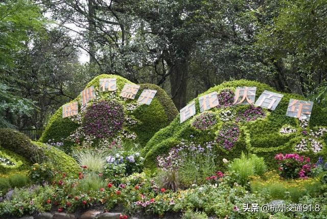 园林机械展杭州