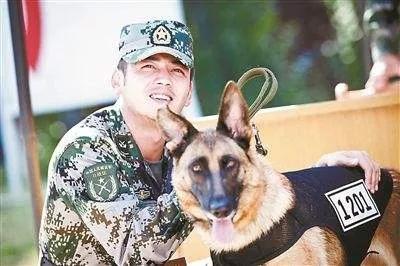 神犬奇兵剧情