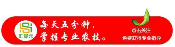 辣椒出现落花、落果、落叶是怎么回事？如何防治？