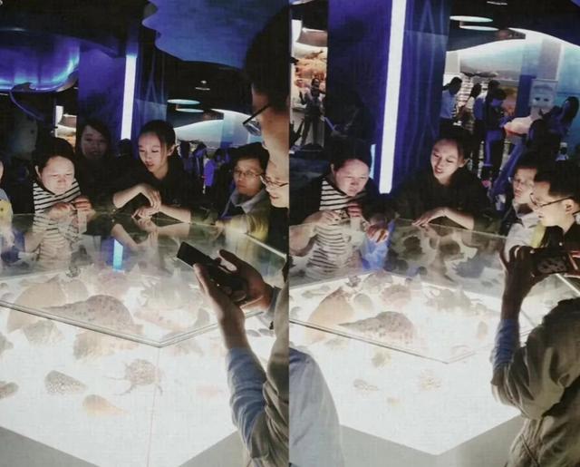 她的梦想是学编程（会敲代码会跳舞）(3)