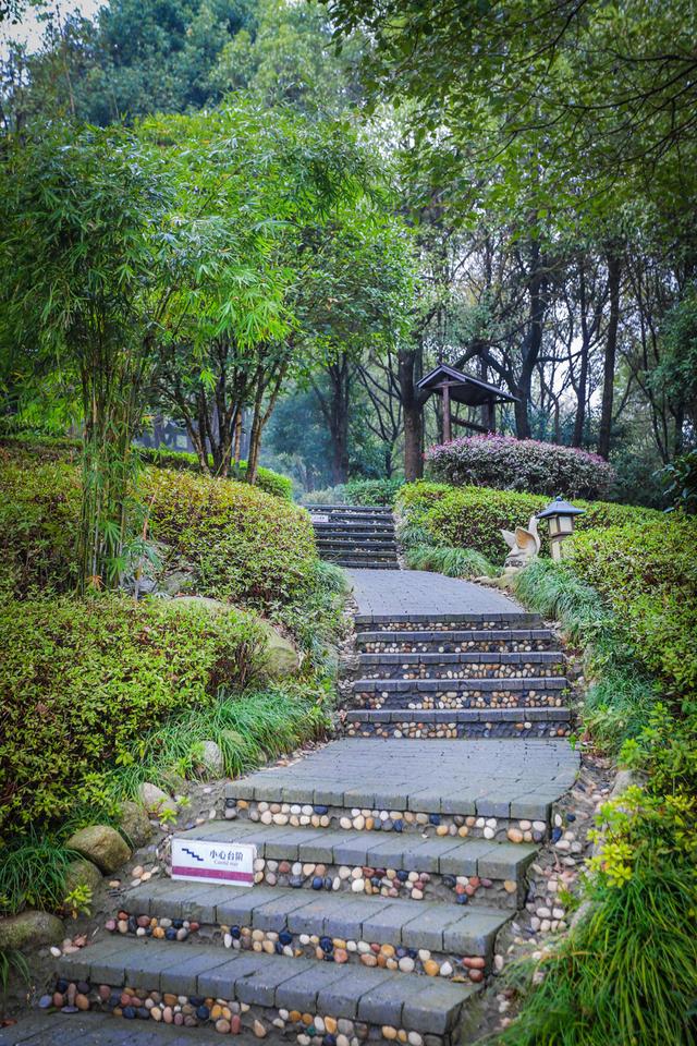 咸宁山湖温泉