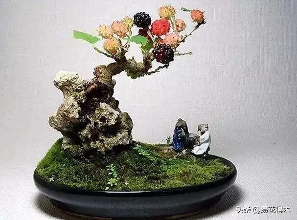 亳州干式洗砂机哪家好