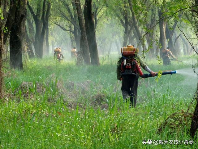 打除草剂后田间杂草杀不死、作物出现药害？这样打药除草效果最好