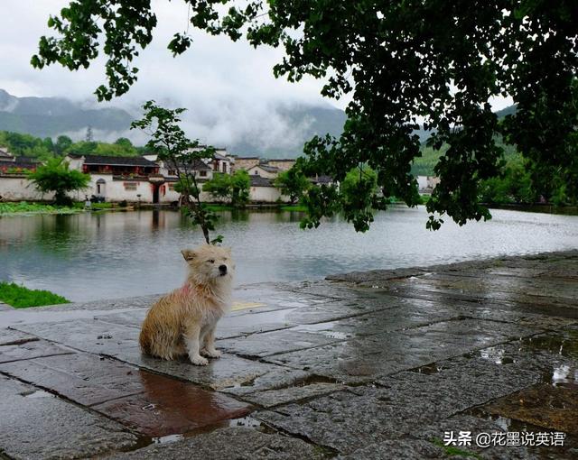 mouse的复数 mouse的复数（mouse的复数形式是什么） 生活