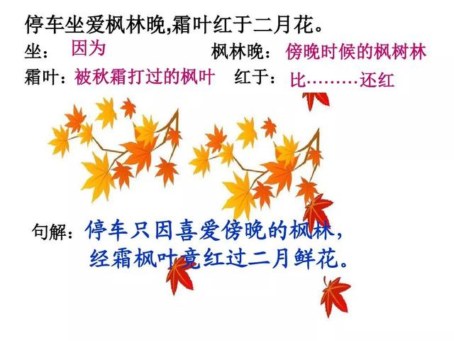 三年级上册语文古诗三首知识点（部编版三年级语文上册第4课古诗三首知识点）(25)