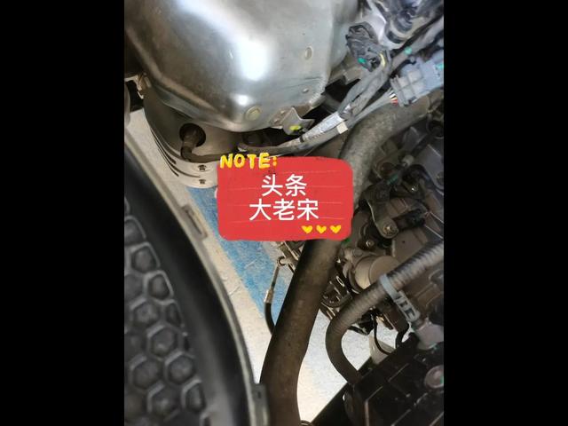 发动机号在车哪个位置(汽车发动机号在哪位置)