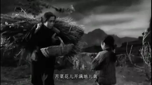 苦菜花之大结局片段（电视剧苦菜花大结局）