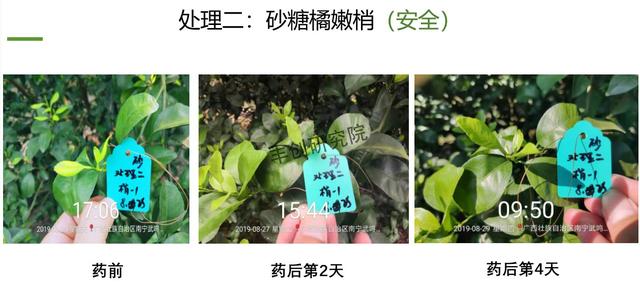 阿维菌素+氟啶胺，杀菌杀螨两不误！在柑橘嫩梢、果实上都能用5