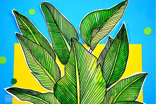 网红植物天堂鸟线条画教程(彩色铅笔画天堂鸟)