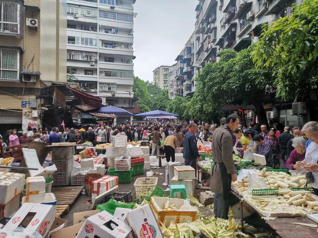 demo 重庆宠物市场（重庆宠物市场调研报告） 动物