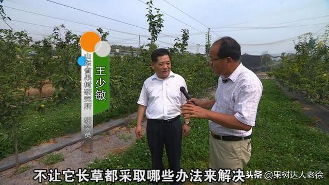 果树机械展