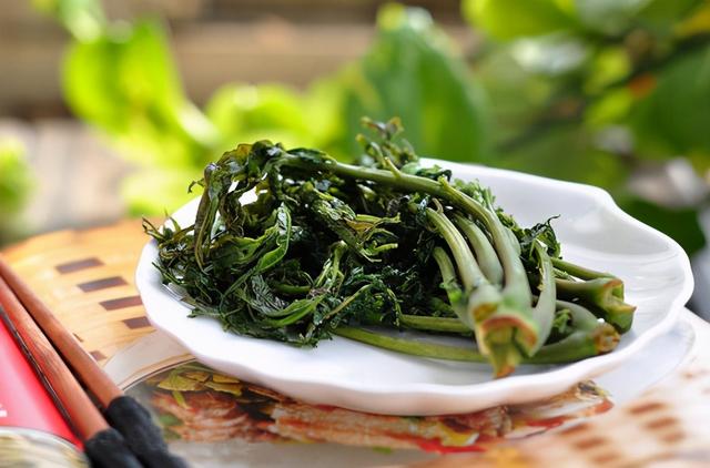 香椿芽怎么腌制好吃