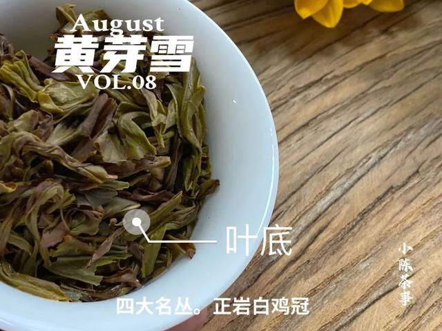 身体浸泡石乳金丹无数