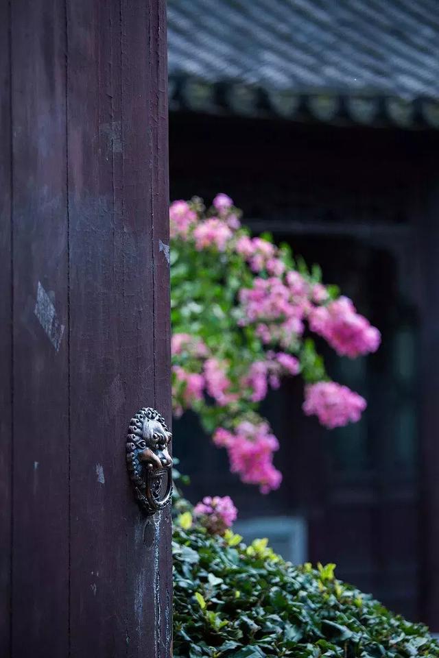 12月早安美文：我们站着，不说话就十分美好