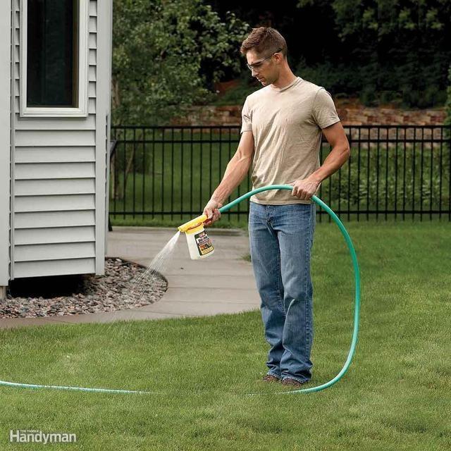 如何消灭蚂蚁最有效的方法（彻底消灭家里蚂蚁的小妙招）