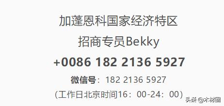 3月15日广州木工机械展