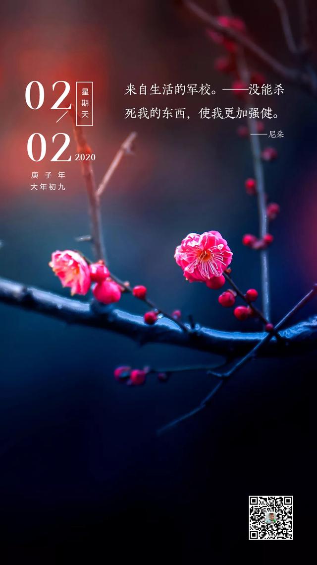 二月你好早安图片日签文字，2月正能量励志语录句子带字图片