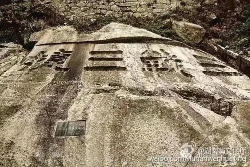 鸟声是云山悠然的种子//邹三龙