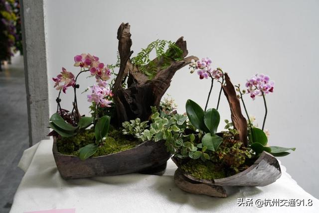 园林机械展杭州