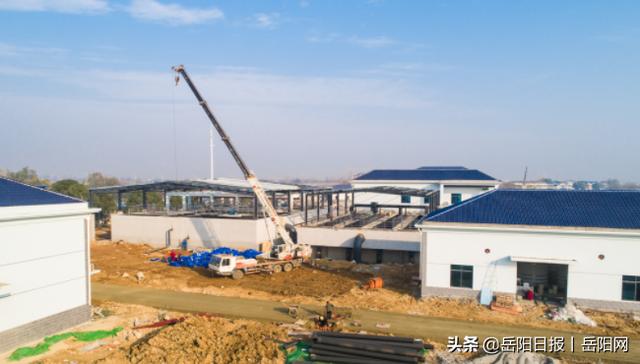 岳阳化工压滤机的简单介绍