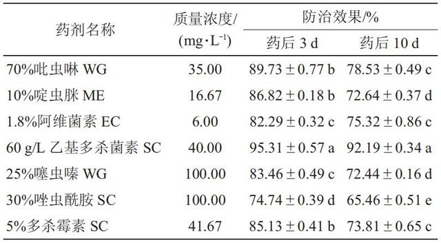 防治辣椒蚜虫和蓟马，你选对药剂了吗？4