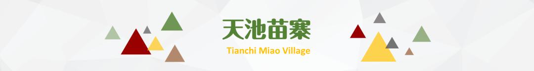 重庆武隆四日游最佳攻略（国庆来重庆旅游）(81)