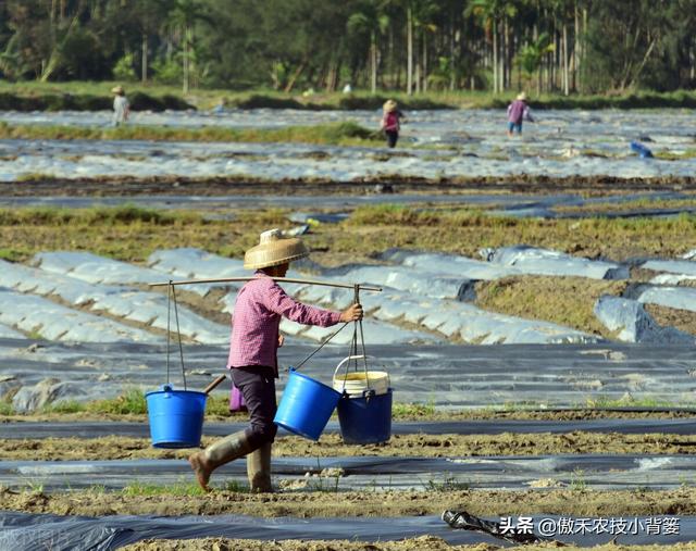 种植瓜果蔬菜，如何解决死苗死棵、烂根烂茎、萎枯猝倒的难题？