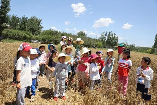 露营地团建