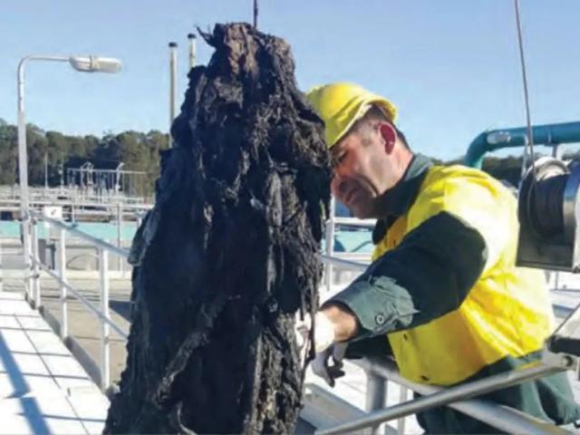 惊曝！50%悉尼人往马桶冲过这些错误东西！政府每年清理500吨湿巾，耗费800万
