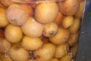 江西省枇杷酒过滤机